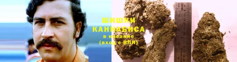 купить наркоту  Волхов  МАРИХУАНА Amnesia 